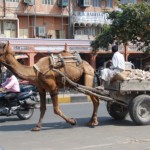 India’s Northern Desert Cities